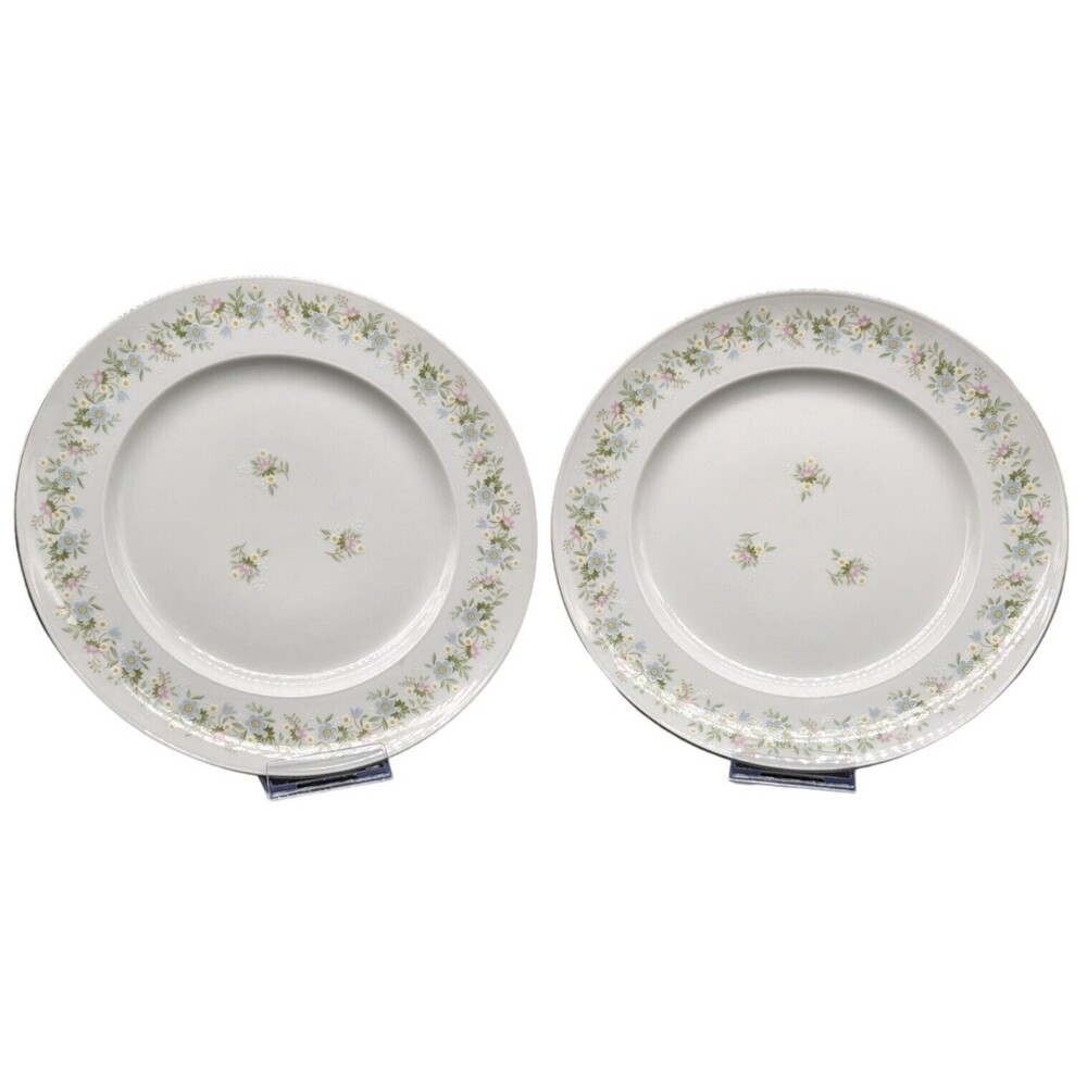 Johann Haviland Vintage Forever Spring Dinner Plates Bavaria Germany Set of 2